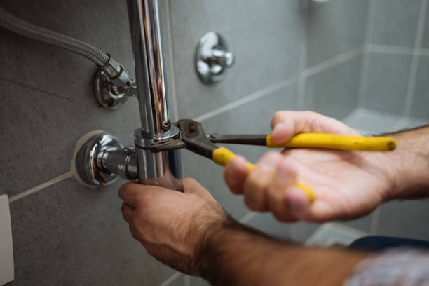 Best Clogged Drain Plumber  in Brushy Creek, TX